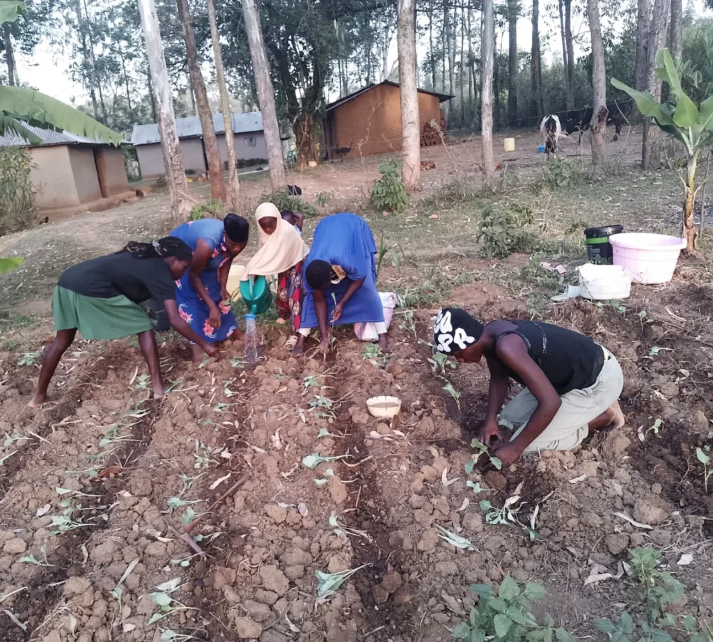 kitchen gardening in rural communities