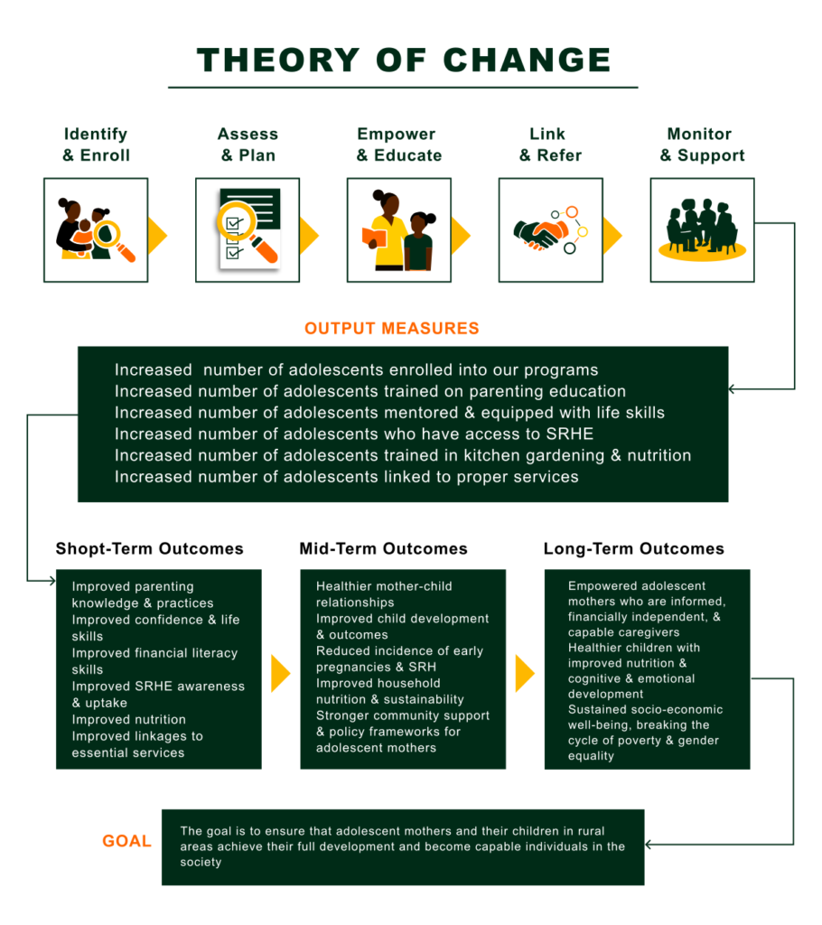 theory of change 2